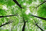 Environmental impaact assessment service