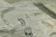 Open Area Excavations service