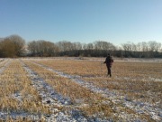 Geophysical Surveys at Great Clemham Suffolk